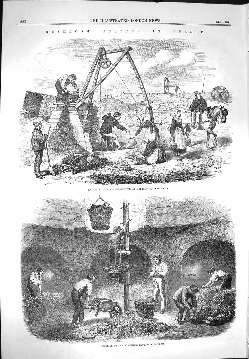Original Old Antique Print 1869 Mushroom Culture Cave Montrouge Paris Victorian