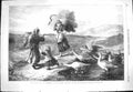 Old Antique Print 1869 Attack Children Hay Making Geese Birds Bottomley 19th