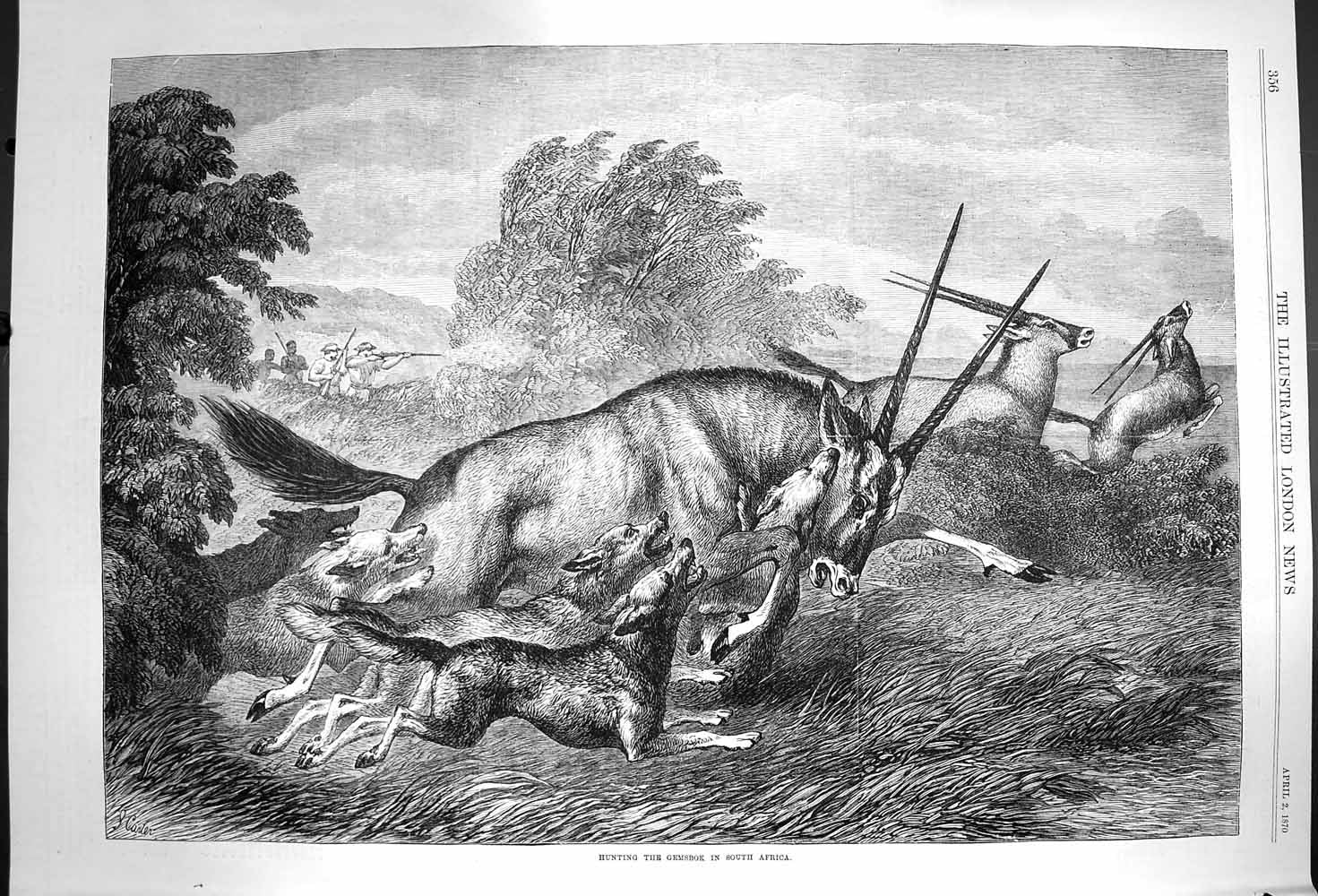 Original Old Antique Print 1870 Hunting Gemsbok South Africa Men Shooting Sport