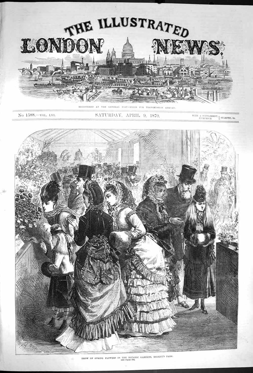 Antique Print *3640 1870 Show Spring Flowers Botanic Gardens Regent'S Park