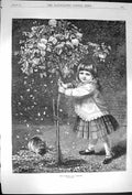 Old Antique Print 1870 Hayllar Fine Art Little Girl Roses Playmates Cat 19th