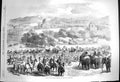 Original Old Antique Print 1870 Entry Governor-General India Peshawur Elephants