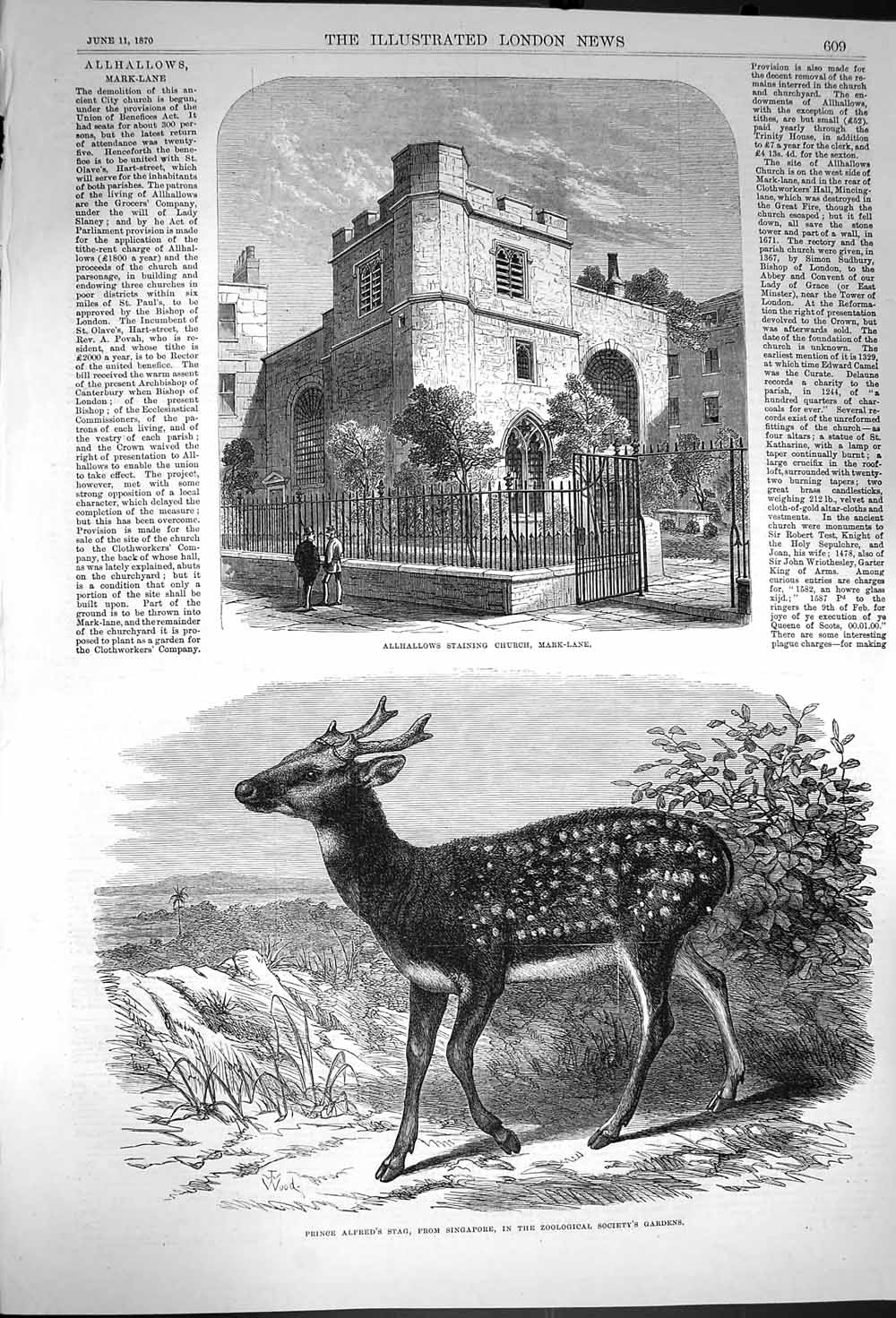 Original Old Antique Print 1870 Allhalloes Church Mark-Lane Prince Alfred Stag