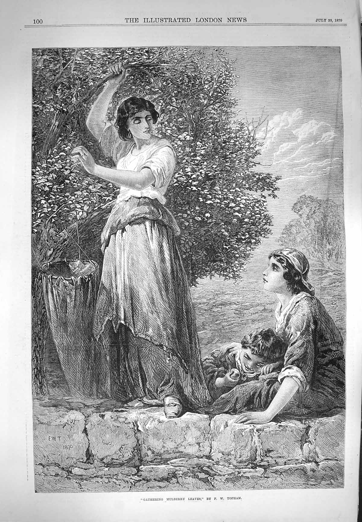 Original Old Antique Print 1870 Scene Gathering Mulberry Leaves Tree Topham