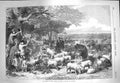 Old Antique Print 1870 Scene Paris Cattle Sheep Bois De Boulogne France 19th