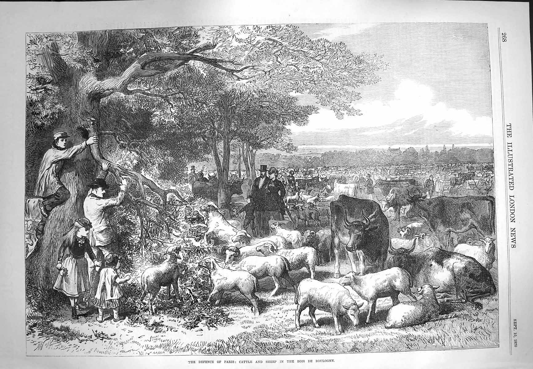 Old Antique Print 1870 Scene Paris Cattle Sheep Bois De Boulogne France 19th