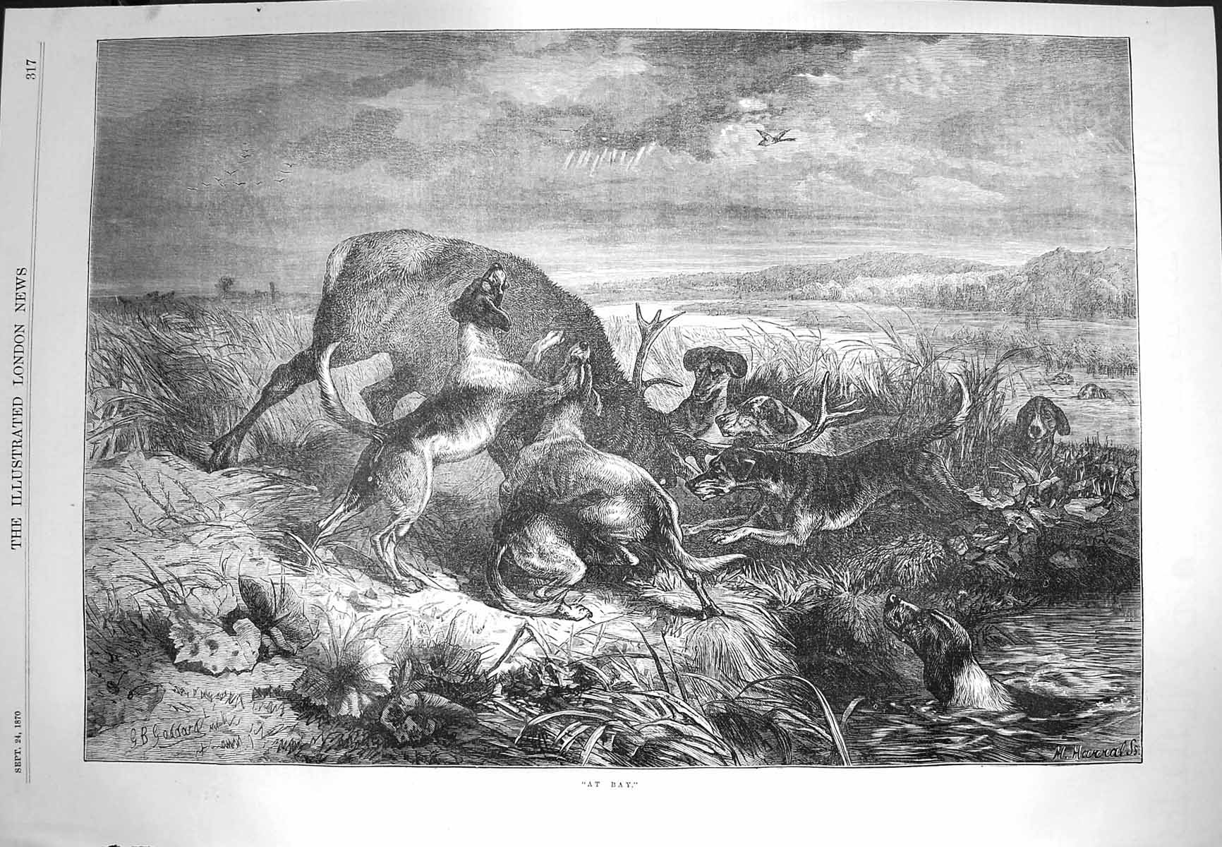Original Old Antique Print 1870 At Bay Goddard Hunting Hounds Dogs Stags Sport