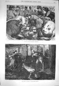 Original Old Antique Print 1870 Cattle Show Birmingham Holborn Theatre Odds
