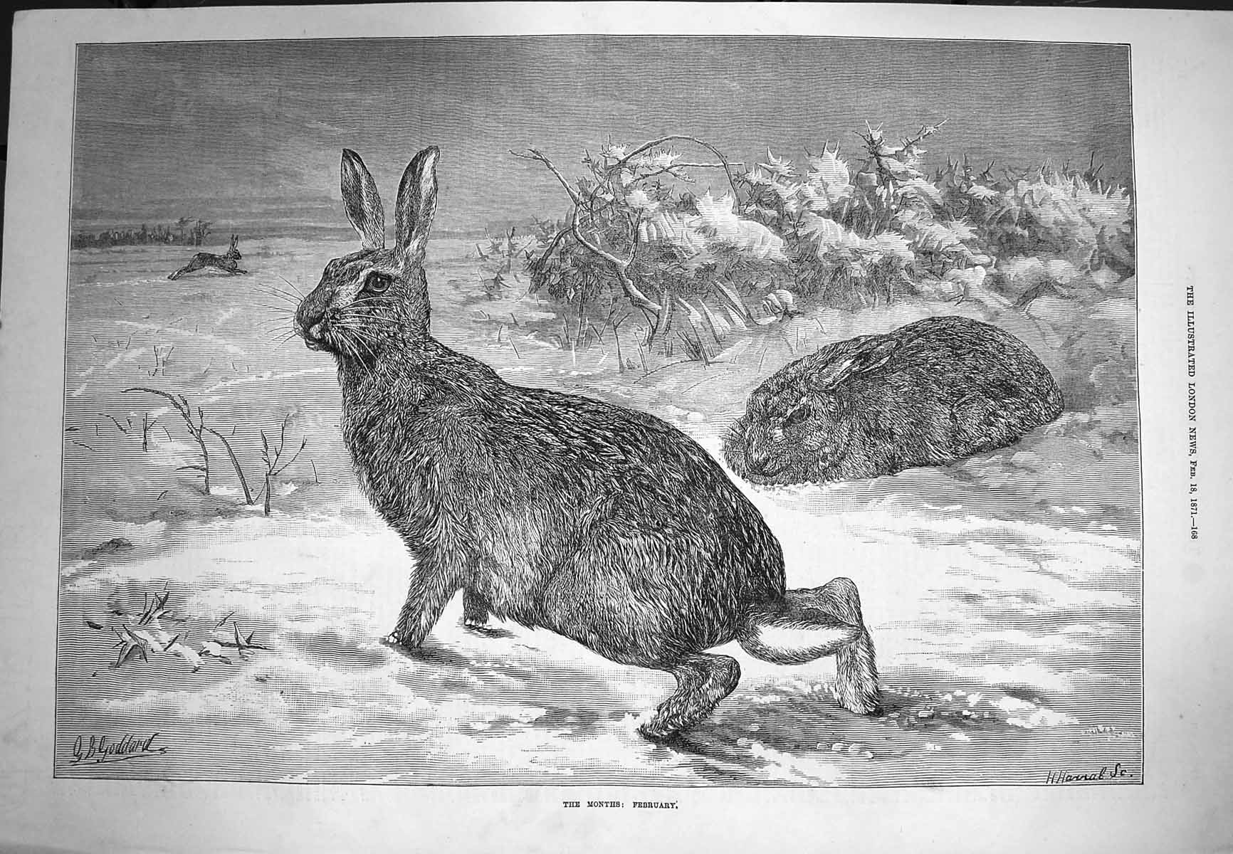 Original Old Antique Print 1871 February Scene Hares Animals 19th