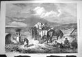 Original Old Antique Print 1871 Clearing New Forest Horses Agriculture Logs