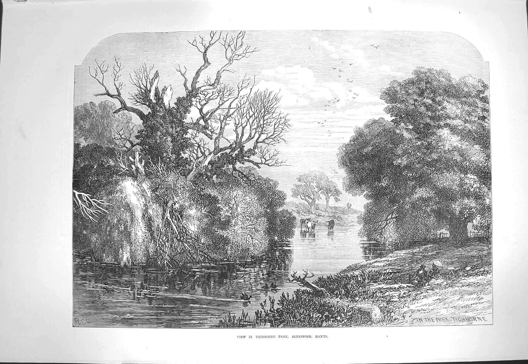 Original Old Antique Print 1871 View Tichborne Park Alresford Hants River Trees
