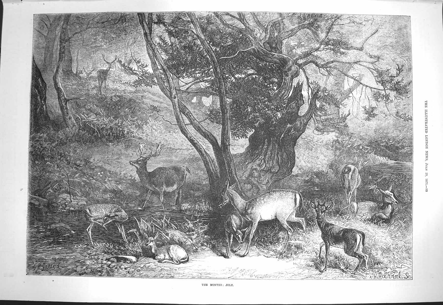Original Old Antique Print 1871 July Season Deer Stag Fawn Animals Trees River