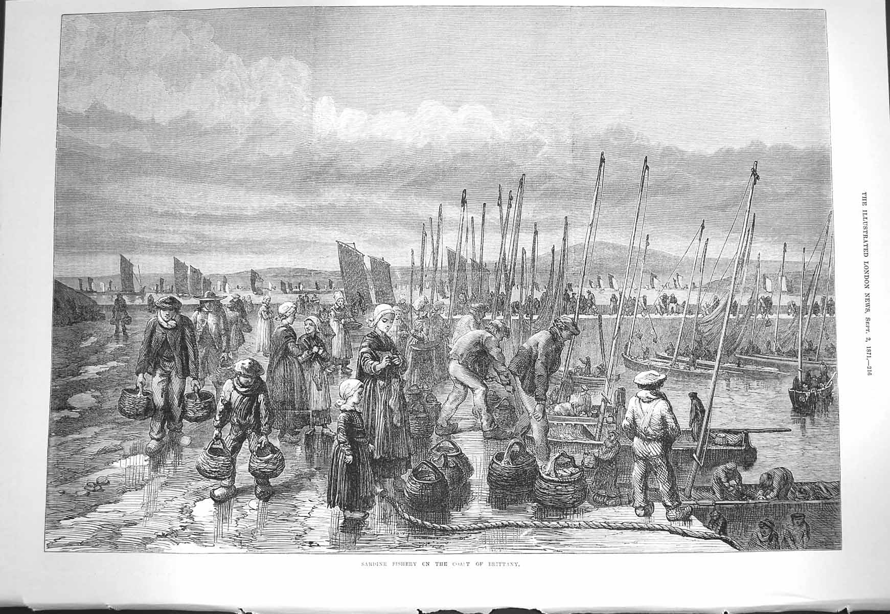 Original Old Antique Print 1871 Sardine Fishery Coast Brittany France Fishing