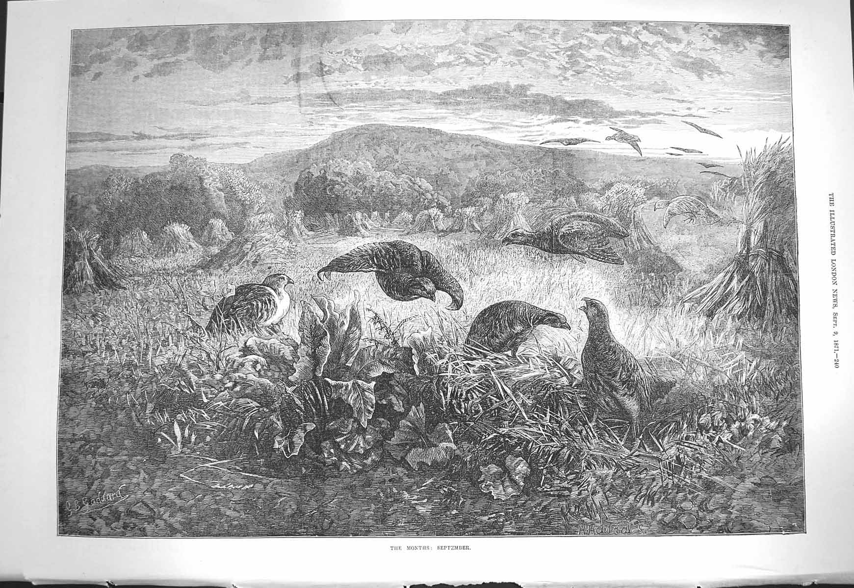 Original Old Antique Print 1871 September Scene Birds Grouse Hunting Mountains