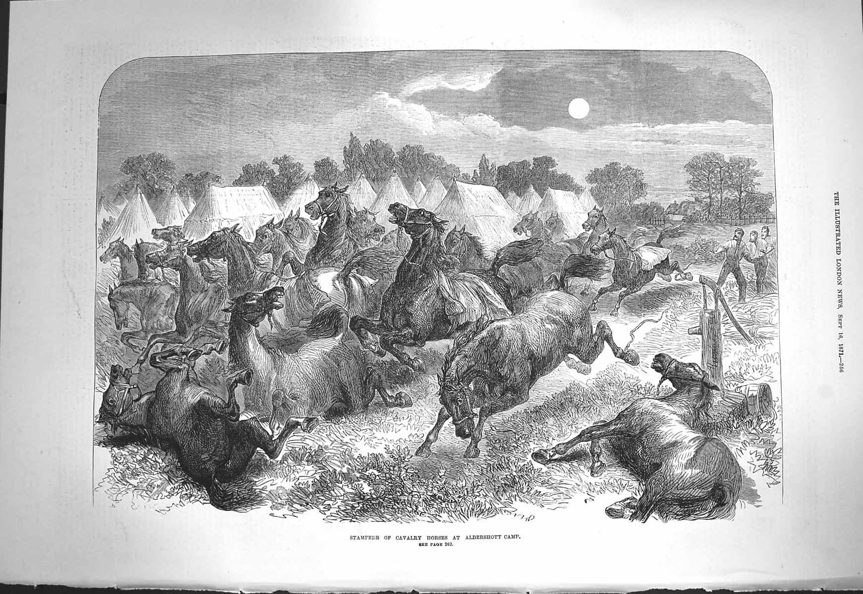 Original Old Antique Print 1871 Stampede Cavalry Horses Aldershott Camp Siers