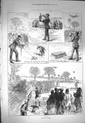 Original Old Antique Print 1871 Hawking Hendon Hunting Birds Sport Victorian
