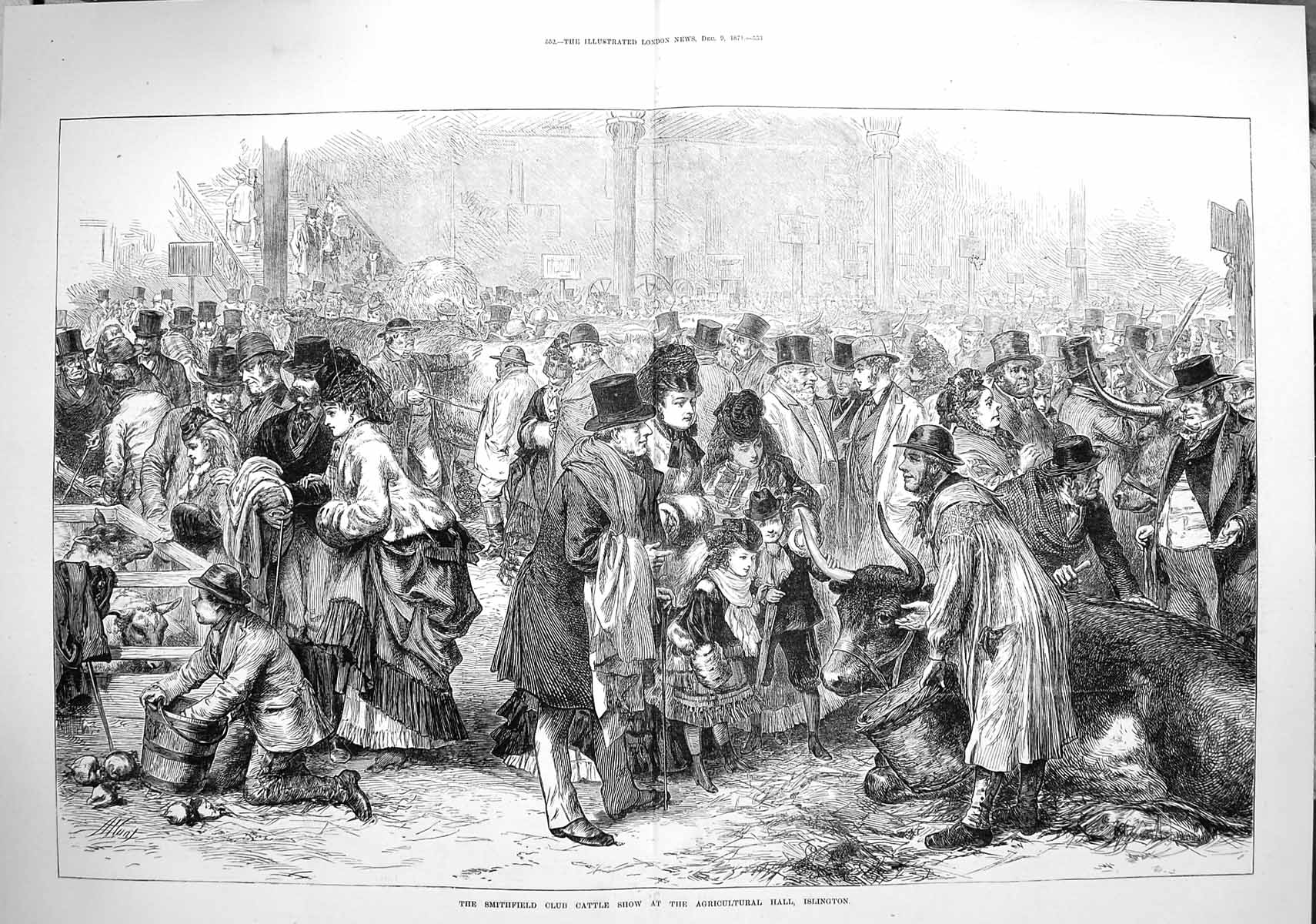 Old Print *3653 1871 Smithfield Club Cattle Show Agricultural Islington