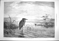 Original Old Antique Print 1871 Greenway Solitary Christmas Eve Birds River