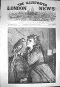 Original Old Antique Print 1872 Our Poll Young Girl Parrot Bird 19th