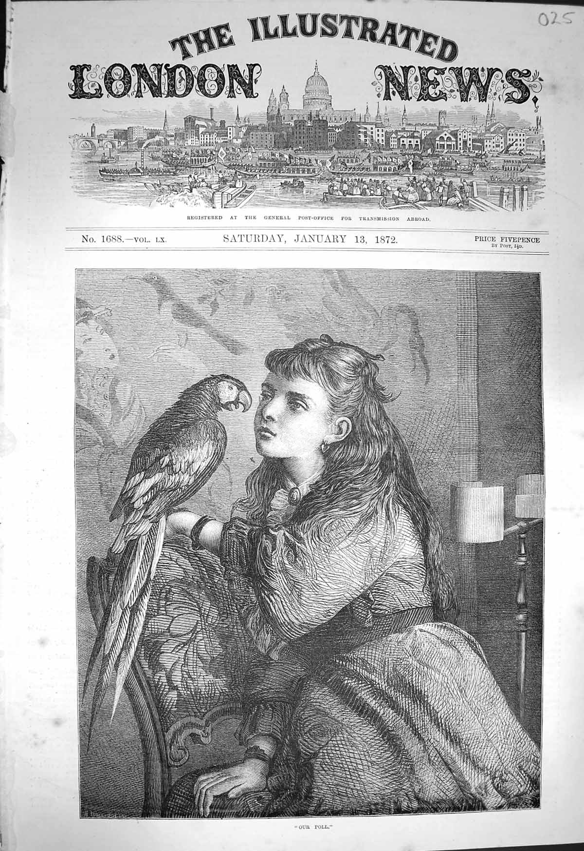 Original Old Antique Print 1872 Our Poll Young Girl Parrot Bird 19th