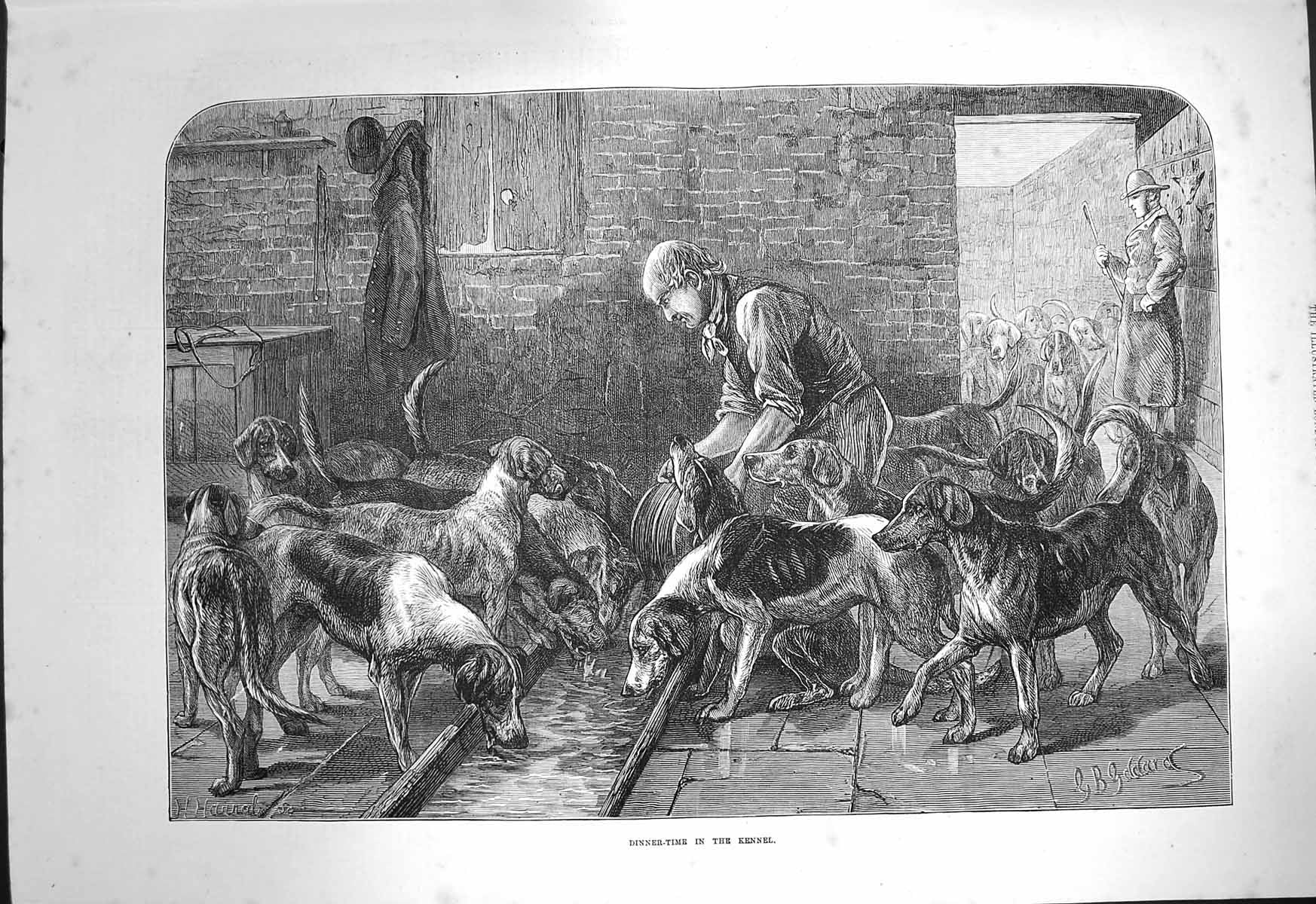 Original Old Antique Print 1872 Dinner Time Kennel Dogs Hounds Goddard 19th