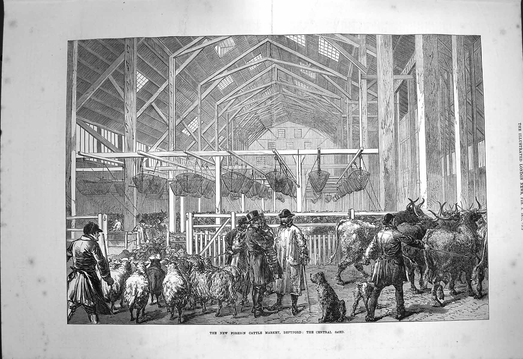 Original Old Antique Print 1872 Foreign Cattle Market Deptford Central Shed