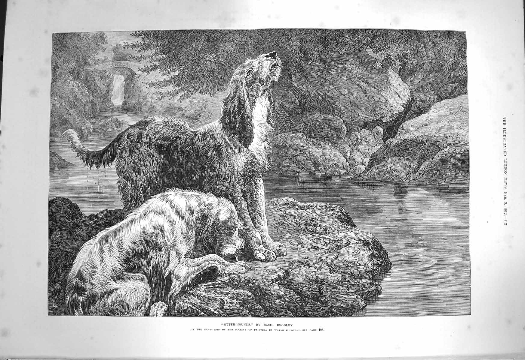 Original Old Antique Print 1872 Otter Hounds Dogs Hunting River 19th