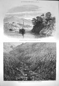 Original Old Antique Print 1872 Looshai Fort Tea Gardens Cachar Balmadie C 19th