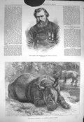 Original Old Antique Print 1872 Isaac Jarman Coxswain Life-Boat Rhinocerous