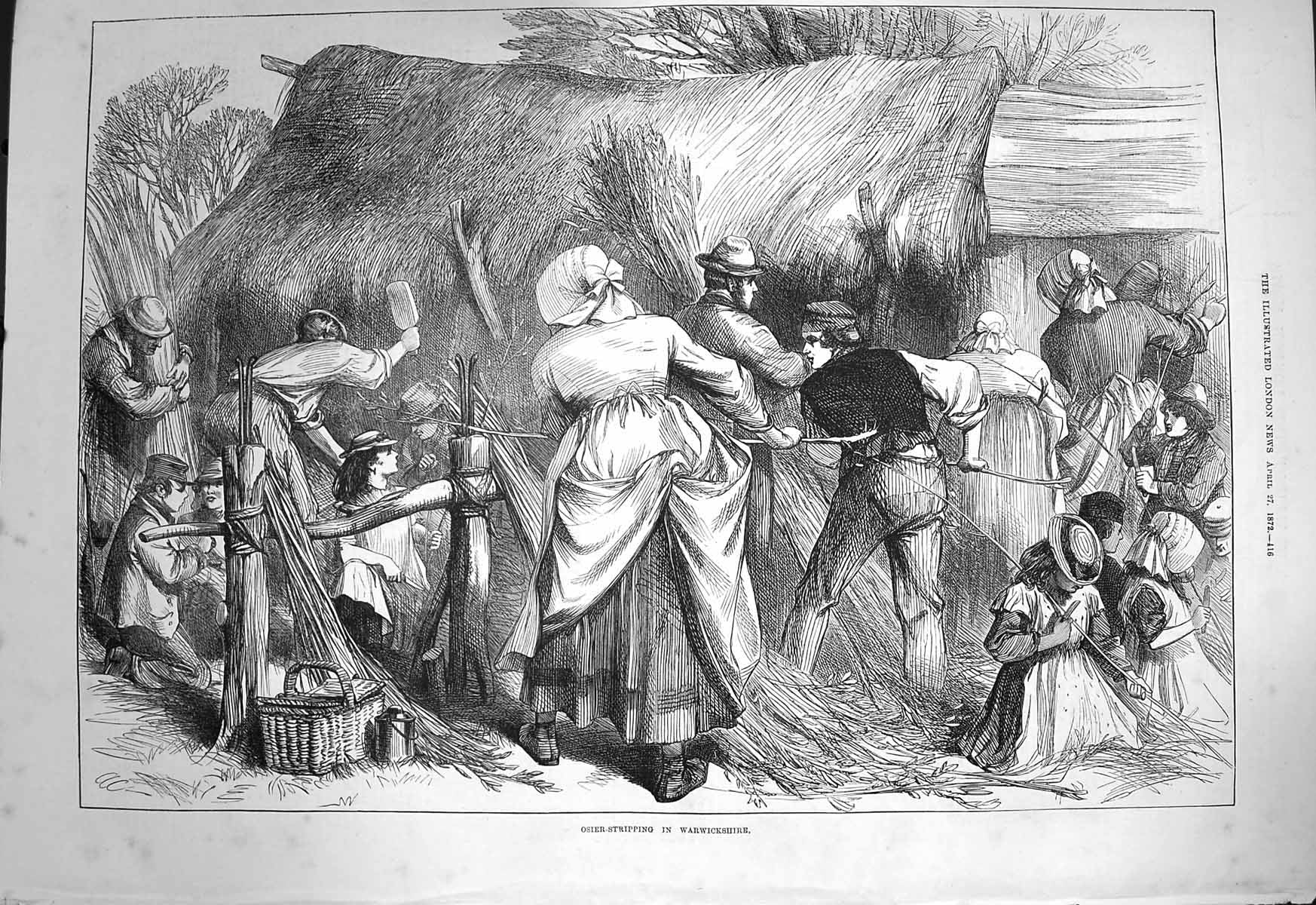 Original Old Antique Print 1872 Osier-Stripping Warwickshire 19th