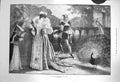 Original Old Antique Print 1872 Fine Feathers Fine Birds Peacocks 19th
