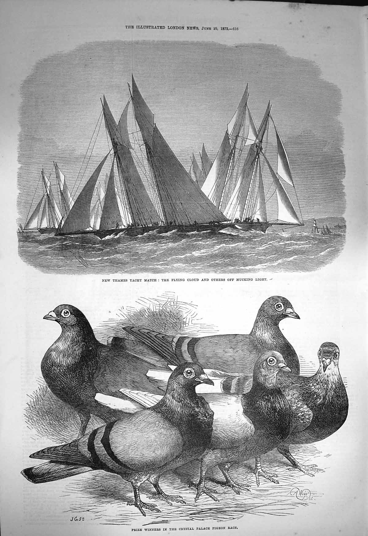 Original Old Antique Print 1872 Crystal Palace Pigeon Race Flying Clou Victorian