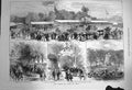 Original Old Antique Print 1872 Prince Wales Lynn Show-Yard Triumphal Arch 19th