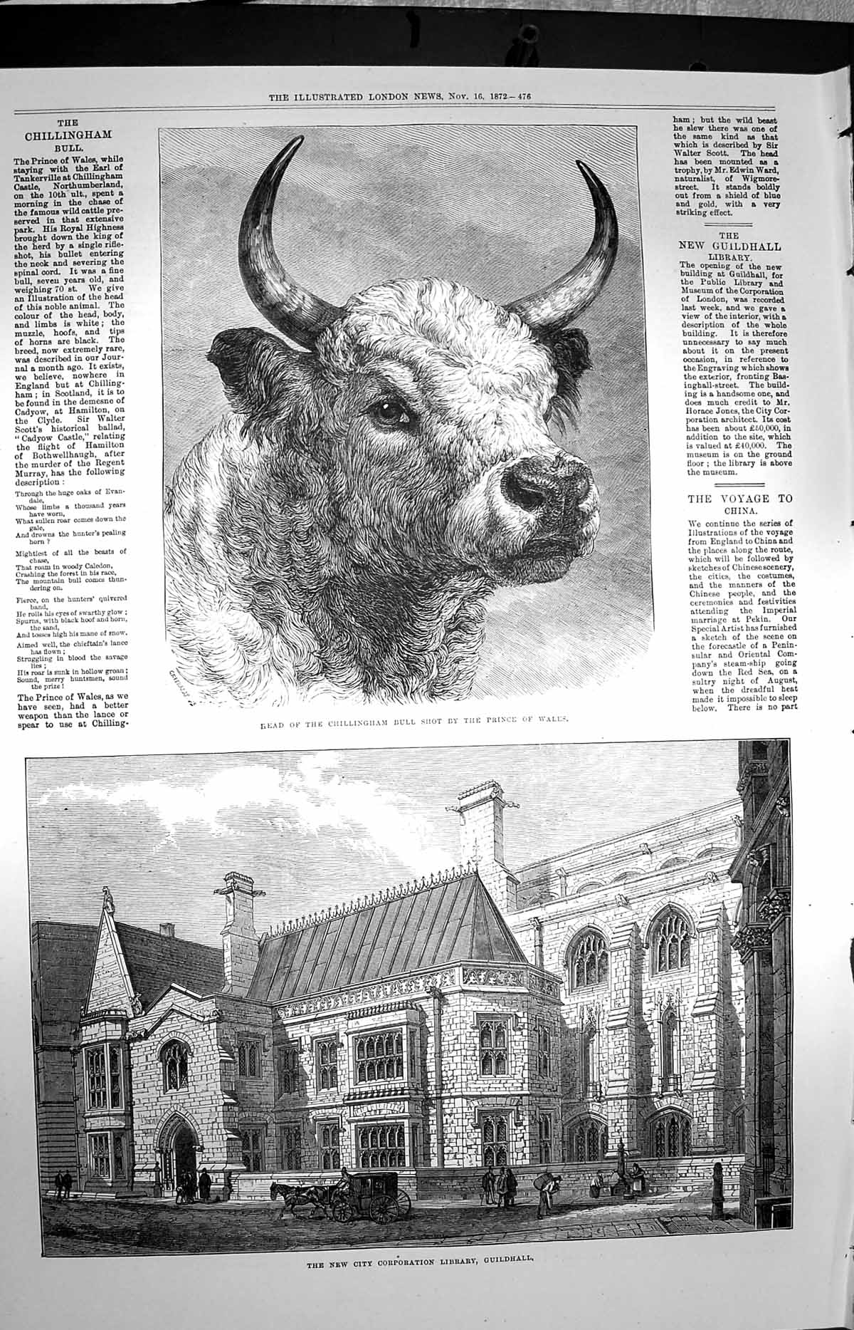 Original Old Antique Print 1872 Chillingham Bull Prince Wales Library Guildhall