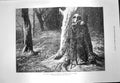 Original Old Antique Print 1873 Exile Siberia Petersburg Lady Fur Snow 19th