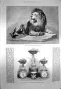Old Antique Print 1873 Lion Zoological Dessert Service Northbrook India 19th