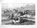Original Old Antique Print 1873 Steeplechase Horses Jumping Jockeys Sport 19th