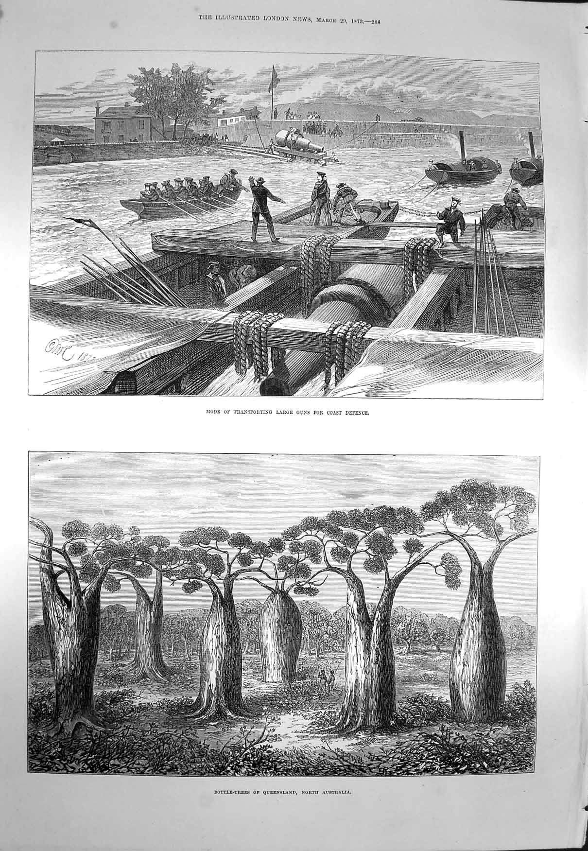 Original Old Antique Print 1873 Transporting Large Guns Bottle Trees Australia
