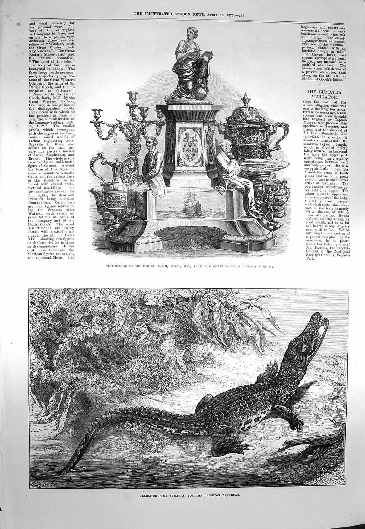 Original Old Antique Print 1873 Alligator Sumatra Daniel Gooch Testimonial 19th