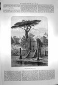 Original Old Antique Print 1873 Fine Art View River Gate Botanic Garden Chelsea