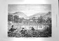 Original Old Antique Print 1873 Portugal Trimming Grape Vines Wine Industry