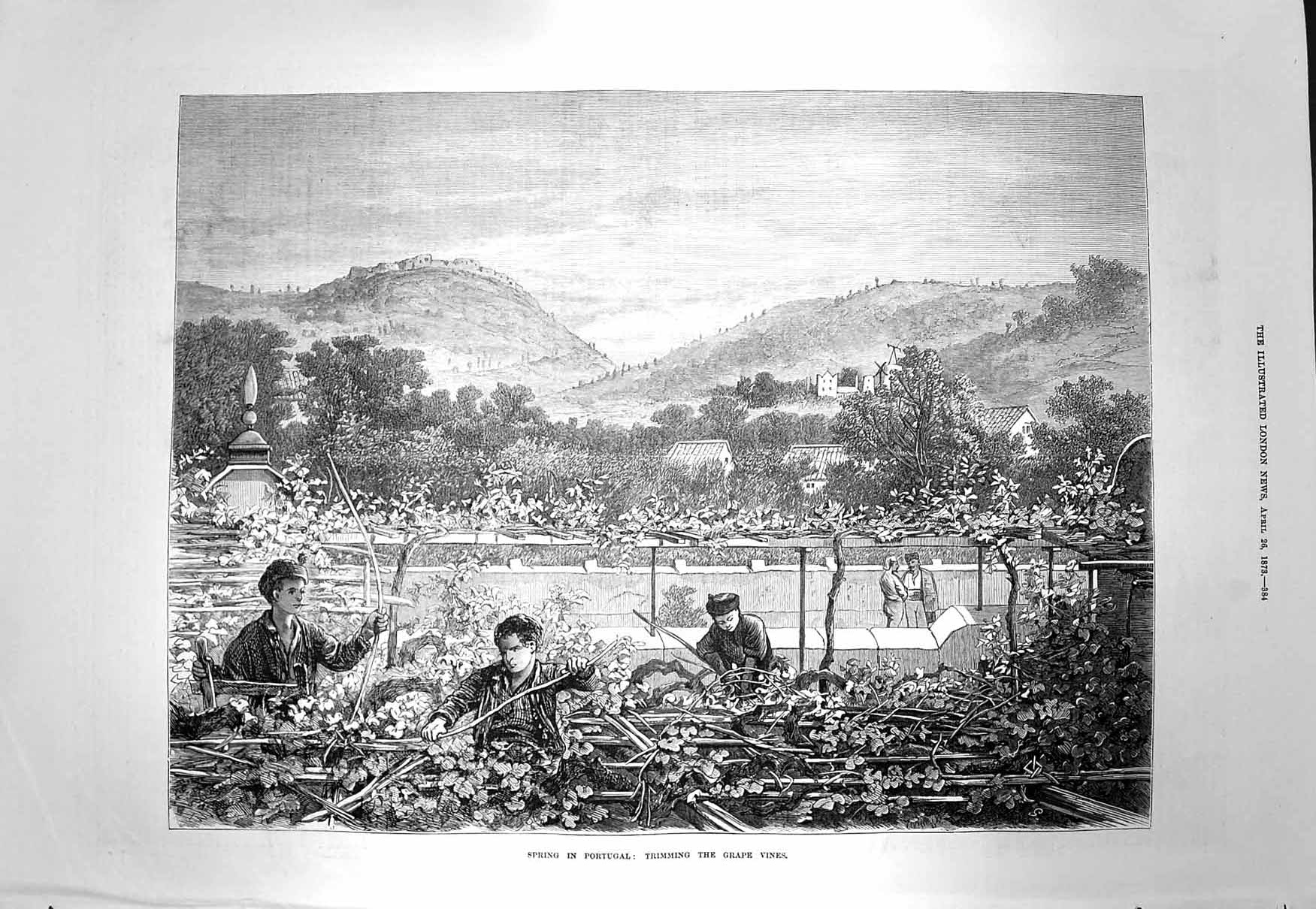 Original Old Antique Print 1873 Portugal Trimming Grape Vines Wine Industry