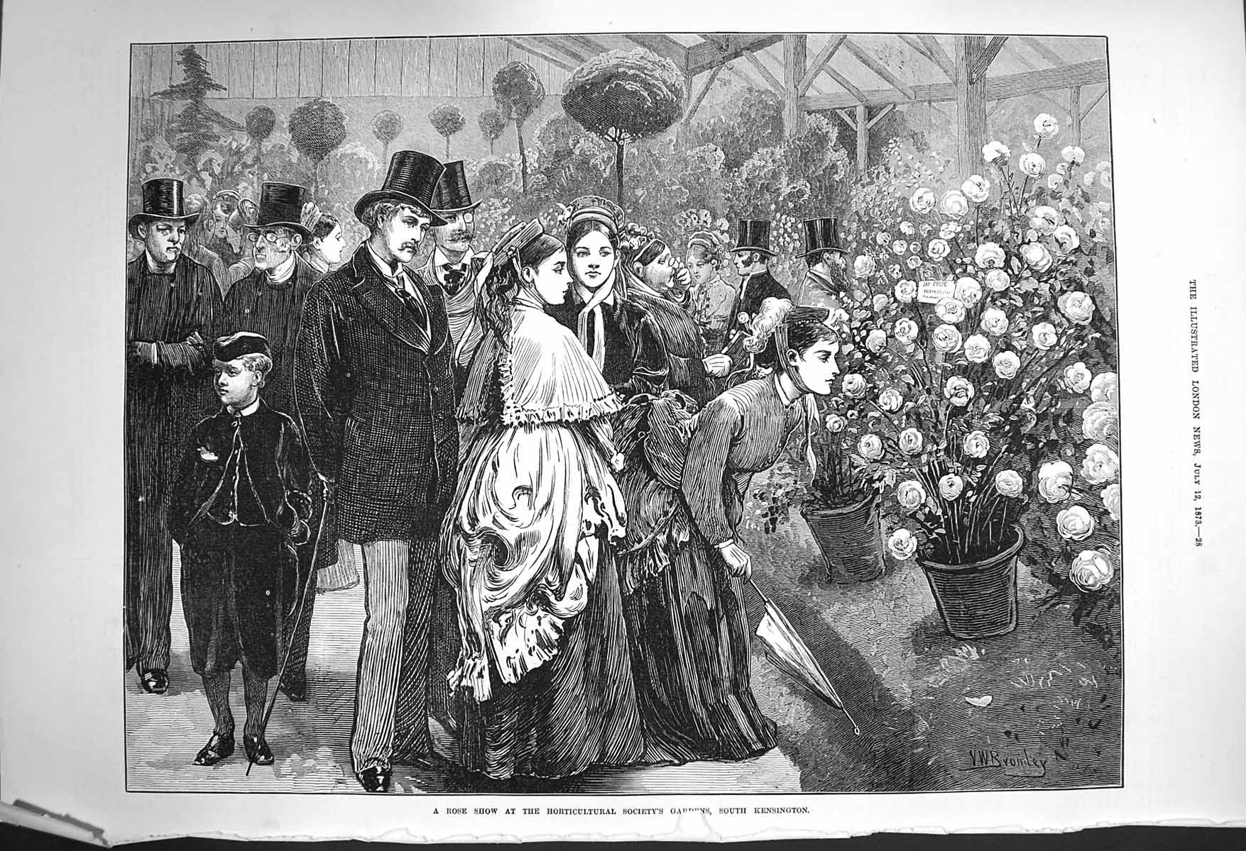 Original Old Antique Print 1873 Rose Flower Show Horticultural Kensington 19th