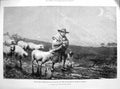 Original Old Antique Print 1873 Farmer Shepherd Sheep Farm Dog Bottomley 19th