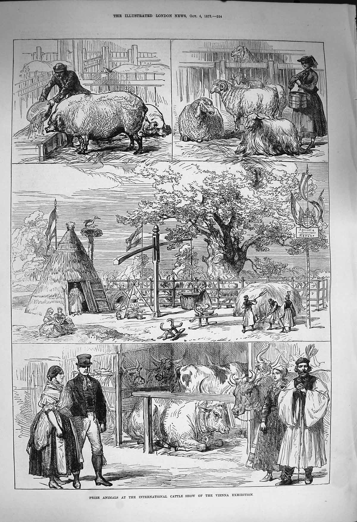 Original Old Antique Print 1873 Prize Animals Cattle Show Vienna Exhibition