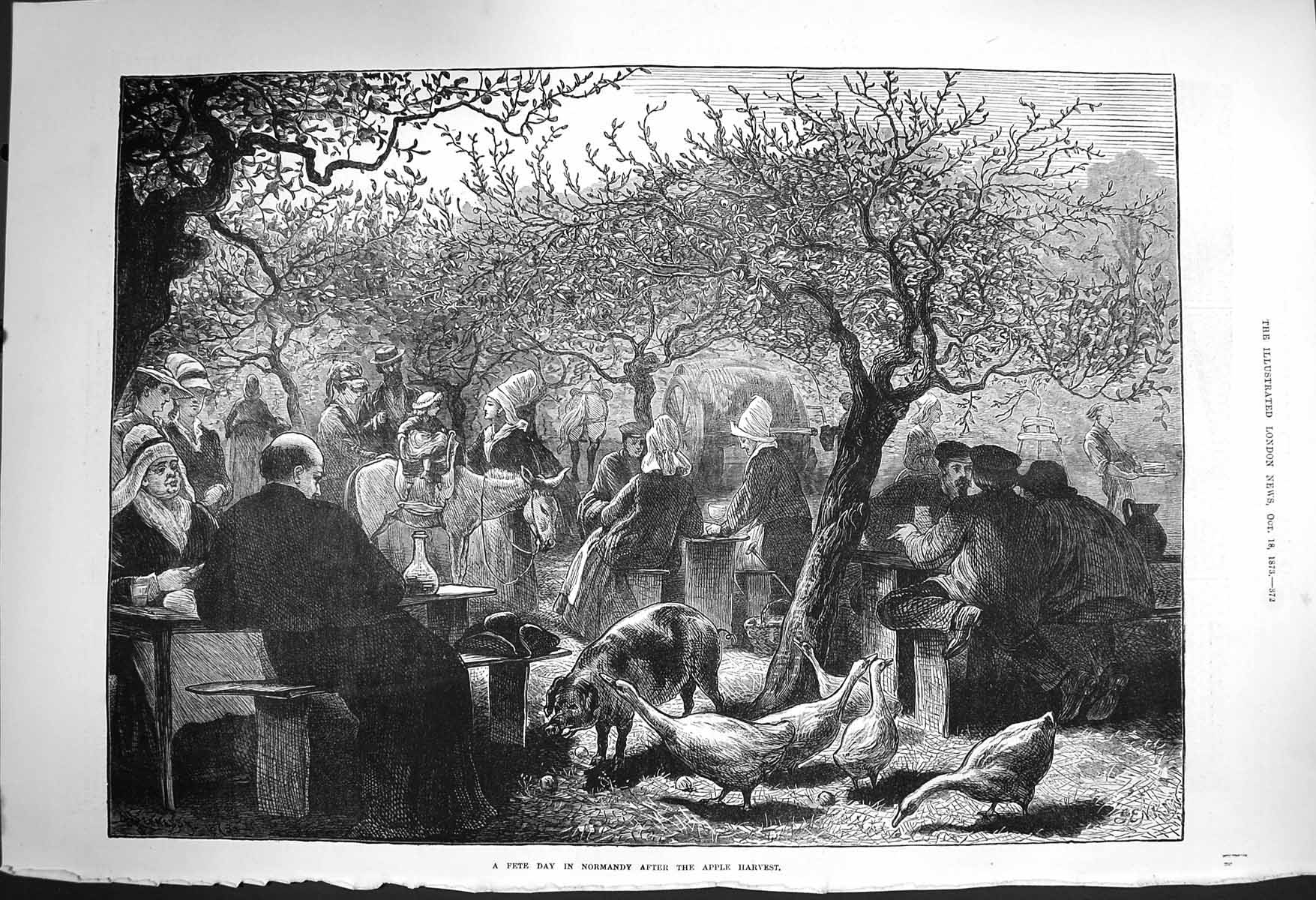 Old Antique Print 1873 Fete Day Normandy Apple Harvest Pigs Geese Donkey 19th