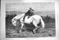 Original Old Antique Print 1873 Equo Ne Credite Teucri Children White Horse