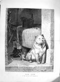 Original Old Antique Print Edwin Landseer 1874 Low Life Pu 19th