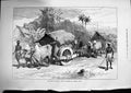 Original Old Antique Print 1874 Famine Bengal Hackeries Carrying Grain Bullock