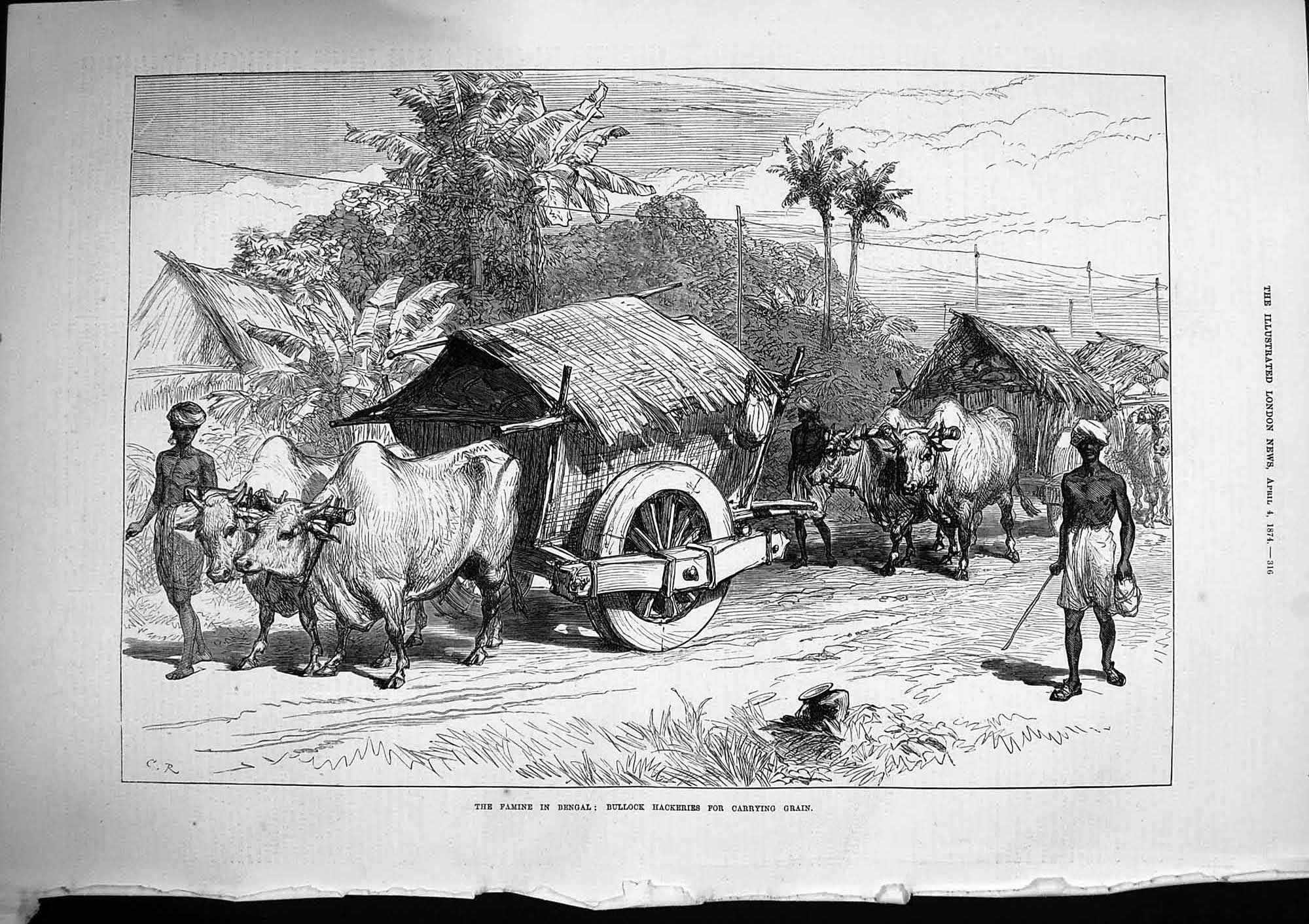 Original Old Antique Print 1874 Famine Bengal Hackeries Carrying Grain Bullock